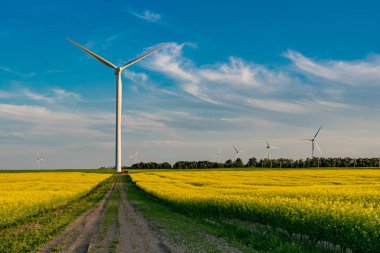Swift Current, Sk / Kanada - 29 Temmuz 2019: Bir kanola tarlasında yolun sonundaki rüzgar türbininin altında kırmızı bir SUv
