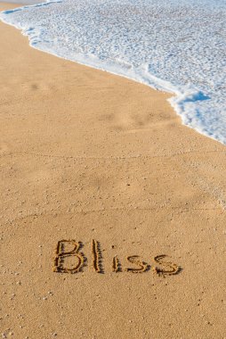 The word Bliss written in the sand on the beach with a wave washing in