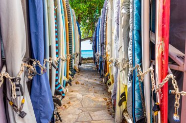 Waikiki, Hawaii / Usa- 25 Ocak 2019: Waikiki Sahili açıklarında Kuhio Sahili sörf tahtalarında iki sıra renkli sörf tahtası depolandı