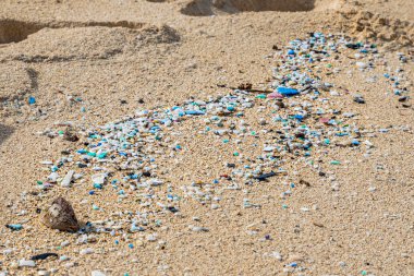 Microplastic pollution littering Waimanalo Beach in Hawaii clipart