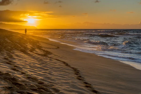 Silhouette Egy Sétál Sunset Beach Északi Partján Oahu Hawaii Naplementekor — Stock Fotó