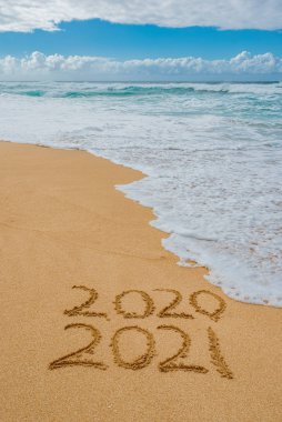 2020 2021 'de kuma yazılan bir dalga 2020 - Yeni Yıl konsepti
