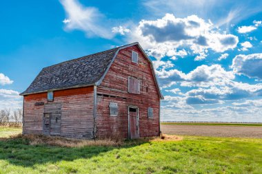 Beyaz Ayı, Saskatchewan yakınlarındaki bozkırlarda klasik kırmızı ahır. 