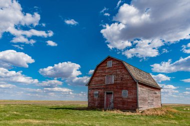 Beyaz Ayı, Saskatchewan yakınlarındaki bozkırlarda klasik kırmızı ahır. 