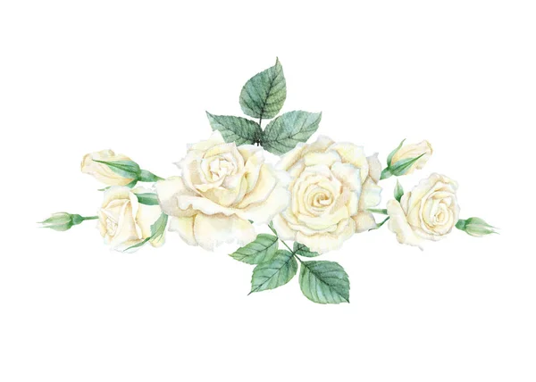 Watercolor of white rose set — 스톡 사진