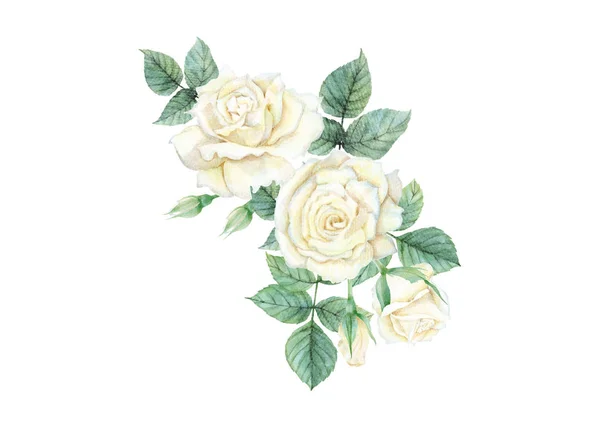 Watercolor of white rose set — 스톡 사진