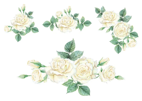 Watercolor of white rose set — 스톡 사진