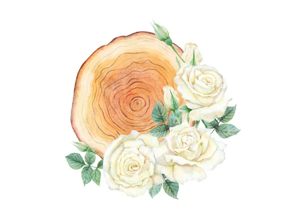 Aquarela de rosa branca em tábua de madeira em branco — Fotografia de Stock