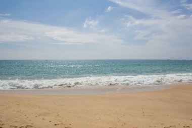 Güzel bir plaj. Güzel tropikal plaj avuç görünümünü. 