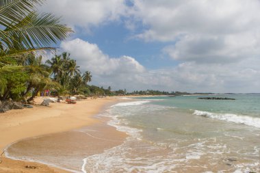 Güzel bir plaj. Güzel tropikal plaj avuç görünümünü. 