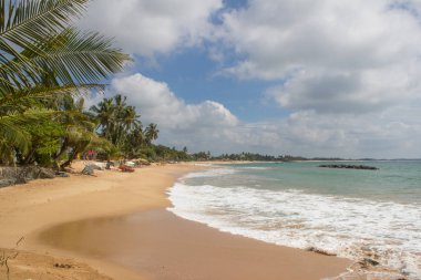 Güzel bir plaj. Güzel tropikal plaj avuç görünümünü. 