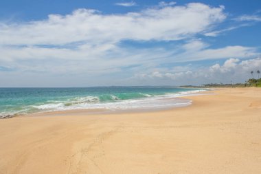 Güzel bir plaj. Güzel tropikal plaj avuç görünümünü. 