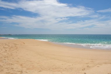 Güzel bir plaj. Güzel tropikal plaj avuç görünümünü. 