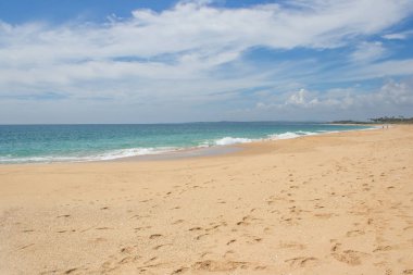 Güzel bir plaj. Güzel tropikal plaj avuç görünümünü. 
