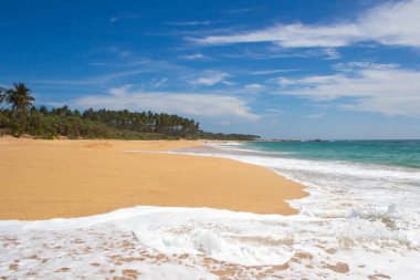 Güzel bir plaj. Güzel tropikal plaj avuç görünümünü. 