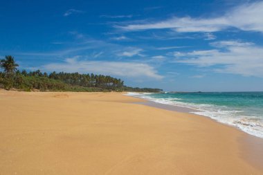 Güzel bir plaj. Güzel tropikal plaj avuç görünümünü. 
