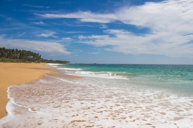 Güzel bir plaj. Güzel tropikal plaj avuç görünümünü. 