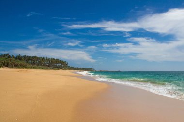 Güzel bir plaj. Güzel tropikal plaj avuç görünümünü. 