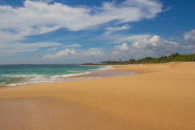 Güzel bir plaj. Güzel tropikal plaj avuç görünümünü. 