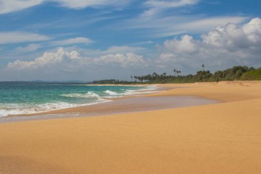 Güzel bir plaj. Güzel tropikal plaj avuç görünümünü. 