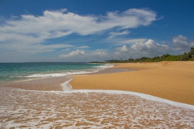 Güzel bir plaj. Güzel tropikal plaj avuç görünümünü. 