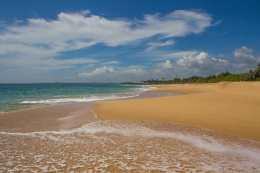 Güzel bir plaj. Güzel tropikal plaj avuç görünümünü. 