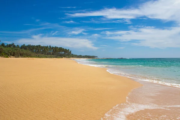 Güzel bir plaj. Güzel tropikal plaj avuç görünümünü. 
