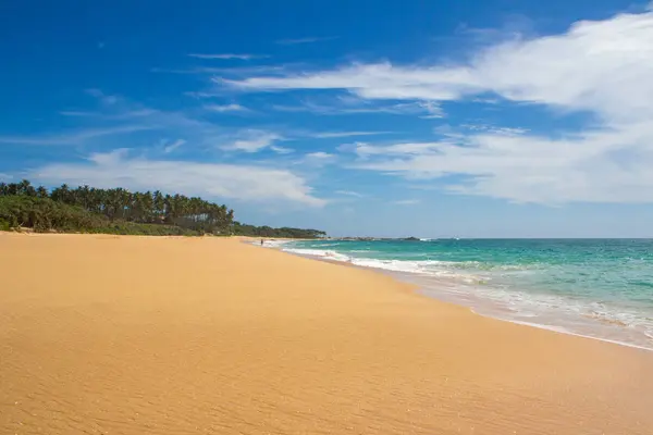 Bellissima spiaggia. Veduta della bella spiaggia tropicale con palme intorno . — Foto Stock