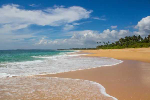 Bellissima spiaggia. Veduta della bella spiaggia tropicale con palme intorno . — Foto Stock