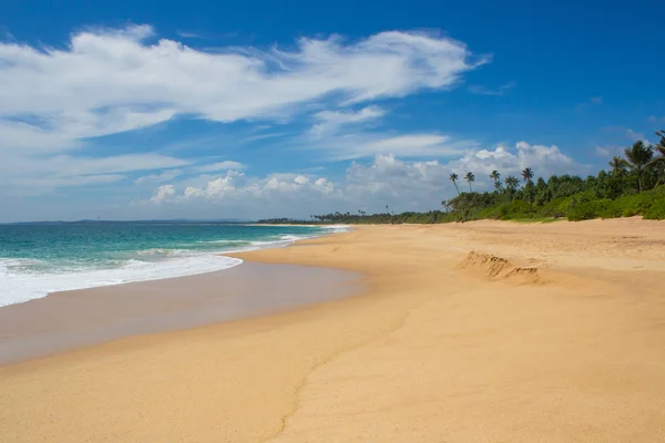 Bellissima spiaggia. Veduta della bella spiaggia tropicale con palme intorno . — Foto Stock