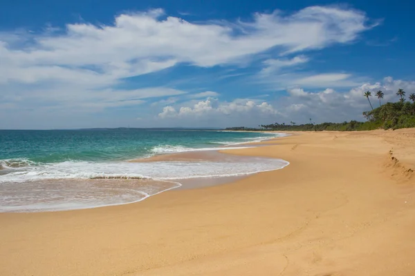 Прекрасний пляж. Вид на красивий тропічний пляж з долонями навколо . — стокове фото