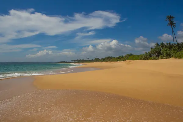 Mooi strand. Uitzicht op mooie tropische strand met palmen rond. — Stockfoto