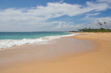 Güzel bir plaj. Güzel tropikal plaj avuç görünümünü. 