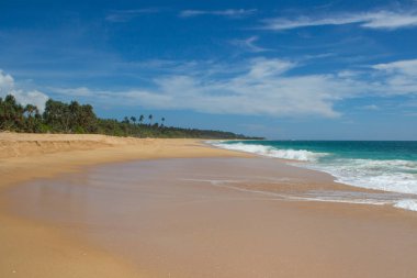 Güzel bir plaj. Güzel tropikal plaj avuç görünümünü. 
