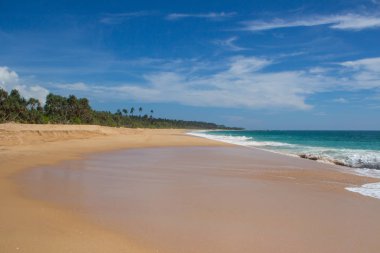 Güzel bir plaj. Güzel tropikal plaj avuç görünümünü. 