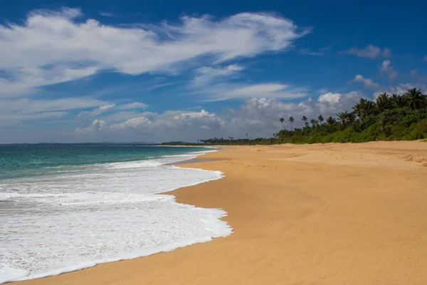 Bellissima spiaggia. Veduta della bella spiaggia tropicale con palme intorno . — Foto Stock