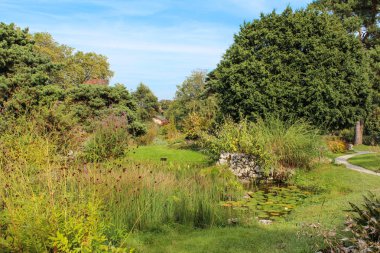 Kış Bahçesi ve Botanik Bahçesi Cenevre şehir