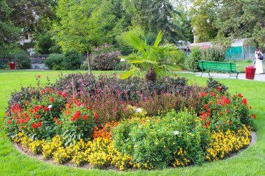 Kış Bahçesi ve Botanik Bahçesi Cenevre şehir