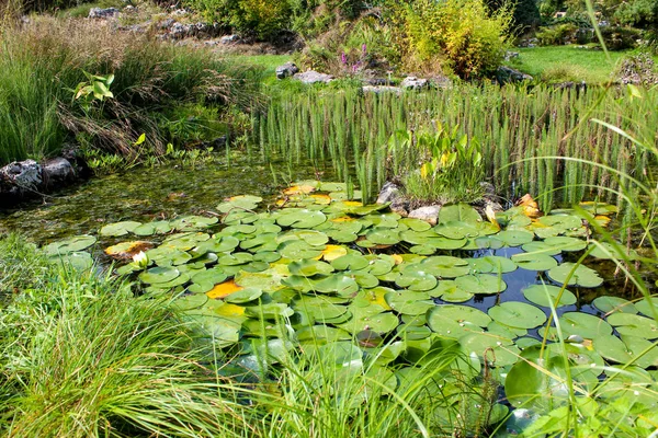 Le Jardin Botanique et Conservatoire de la Ville de Genève — Photo