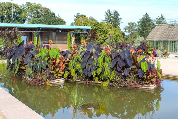 The Conservatory and Botanical Garden of the City of Geneva — Stock Photo, Image