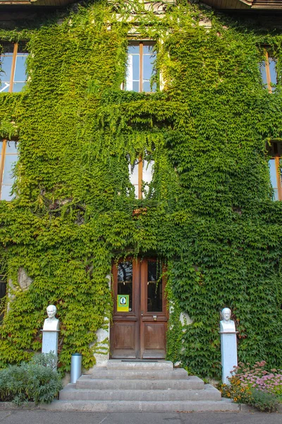 Fasada pokryta bluszcz w Genewie. Szwajcaria. — Zdjęcie stockowe
