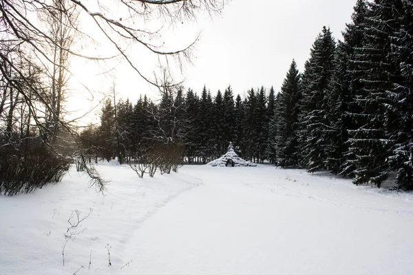 Kış Sokağı Karda Ağaçlar Puşkin Şehri Rusya Kışın Tsarskoe Selo — Stok fotoğraf