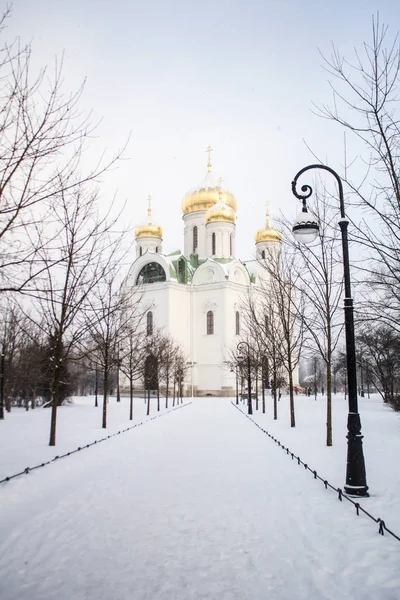 Catherine Cathedral Cathedral Square City Center Pushkin Tsarskoye Selo — Stock Photo, Image