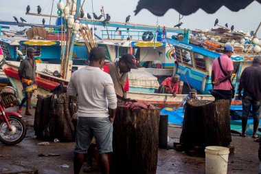 Negombo, Sri Lanka - 05 Aralık 2017. Sağlıksız koşullar. F