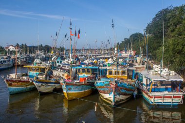 Negombo, Sri Lanka - 05 Aralık 2017. Balık pazarı açıyorum.