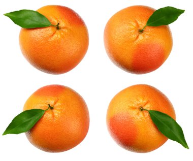 Greyfurt koleksiyonu. Beyaz arkaplanda yeşil yapraklı greyfurt 