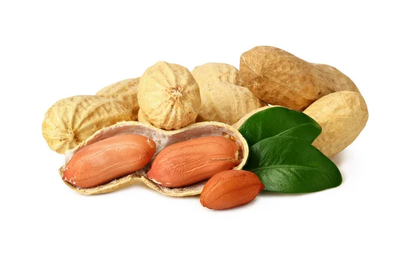 Amendoins Secos Com Folhas Isoladas Fundo Branco Alimentos — Fotografia de Stock
