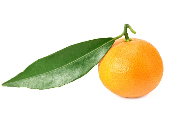 Mandarine Mit Grünem Blatt Isoliert Auf Weißem Hintergrund — Stockfoto