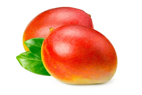 Mango Con Foglie Verdi Isolate Fondo Bianco — Foto Stock