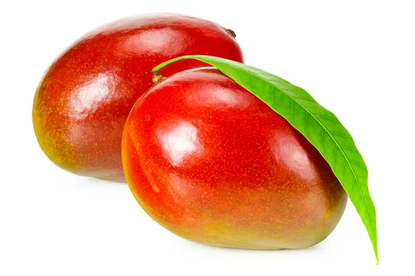 Mango Con Hojas Verdes Aisladas Sobre Fondo Blanco —  Fotos de Stock